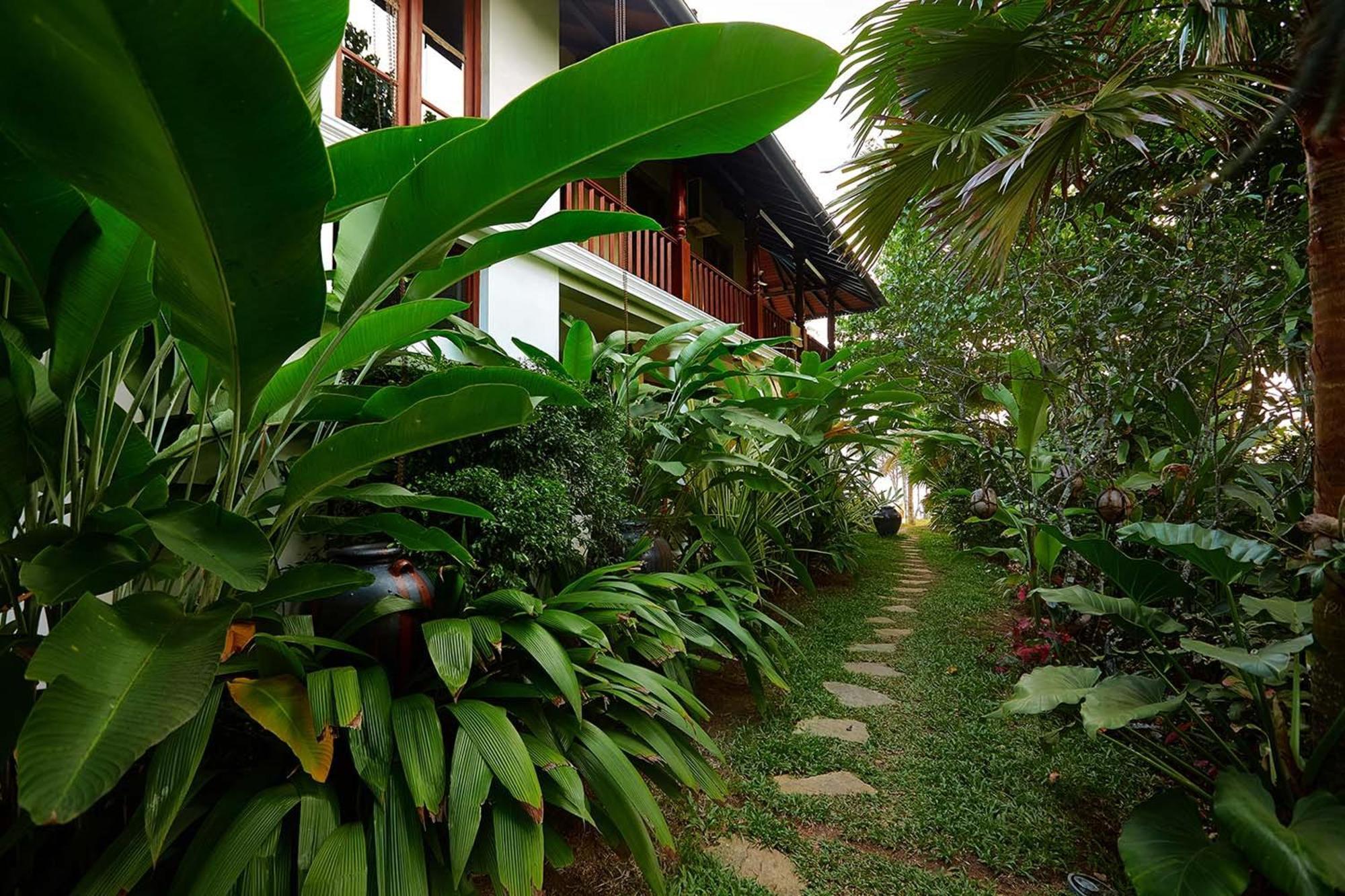 Eraeliya Villas & Gardens Weligama Exterior foto